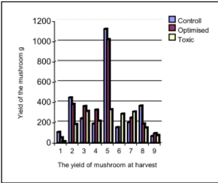 13. figure Changing of yield volume of  champignonunder cultivation using of 
