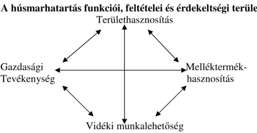 3. ábra  A húsmarhatartás funkciói, feltételei és érdekeltségi területei 