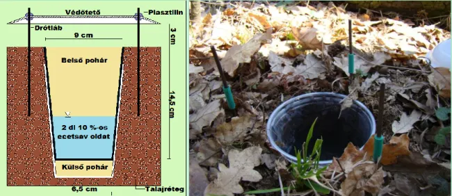 7. ábra: Az alkalmazott duplaedényes talajcsapdák (ábra: Bali László, fénykép: Andrési  Dániel) 
