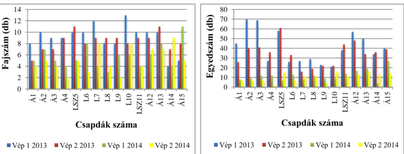16. ábra: Csapdánkénti faj- és egyedszámok változása a vépi transzszektek esetén 2013- 2013-2014-ben 