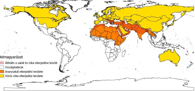 1. ábra – Aranysakál és vörös róka globális elterjedése az IUCN adatbázisa alapján 