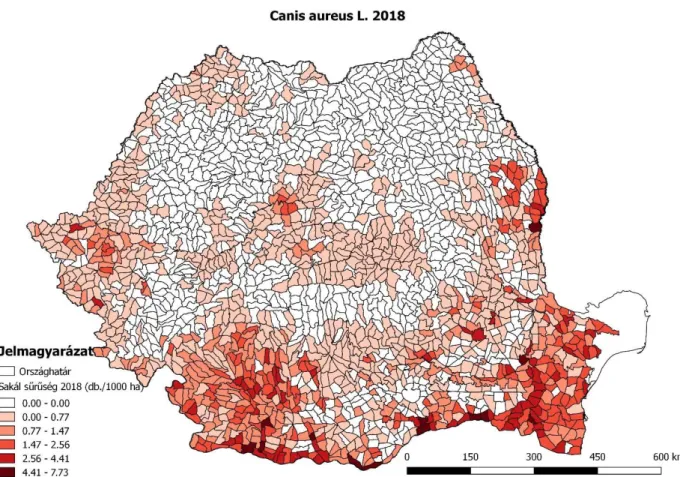 5. ábra – Aranysakál (Canis aureus) 2018 évi sűrűsége Romániában a jóváhagyott vadászati  kvóták alapján 