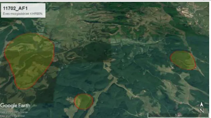 7. ábra - A 11702_AF1 azonosítñjú ivarérett koca éves mozgáskörzete KHR90% mñdszerrel  Piros vonal: a KHR90% mñdszerrel számított mozgáskörzet kontúrja; Sárga kitöltés: a KHR90% területe