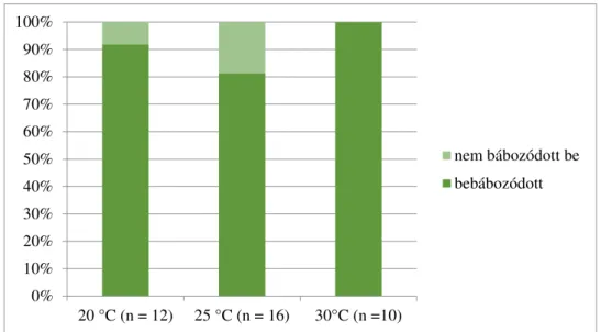 10. ábra: A bebábozódott hímek aránya különböző hőmérsékleten az ötödik  lárvastádiumban 