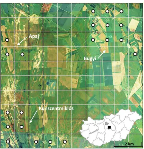 3. ábra Hívóhangos állománybecslés céljából 2003-ban kijelölt felmérési pontok a 21 db   1000x1000 m-es mintaterülettel (KNPI légifelvétel, 2002) 