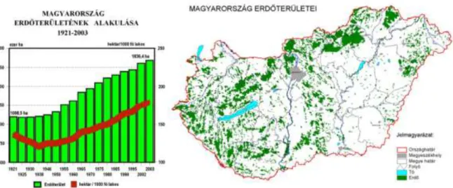 24. ábra: A hazai erdőterület változása  25. ábra: Hazánk erdősültsége  forrás: http://www.biomasszaeromuvek.hu/kornyezetvedelem/novekvo 