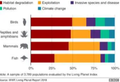 2. ábra: Az egyes élőlénycsoportok csökkenésében legnagyobb szerepet játszó veszélyek  (élőhelyek elpusztítása, kizsákmányolás, invazív fajok és betegségek, környezetszennyezés,  klímaváltozás); forrás: https://catholicclimatemovement.global/one-million-sp