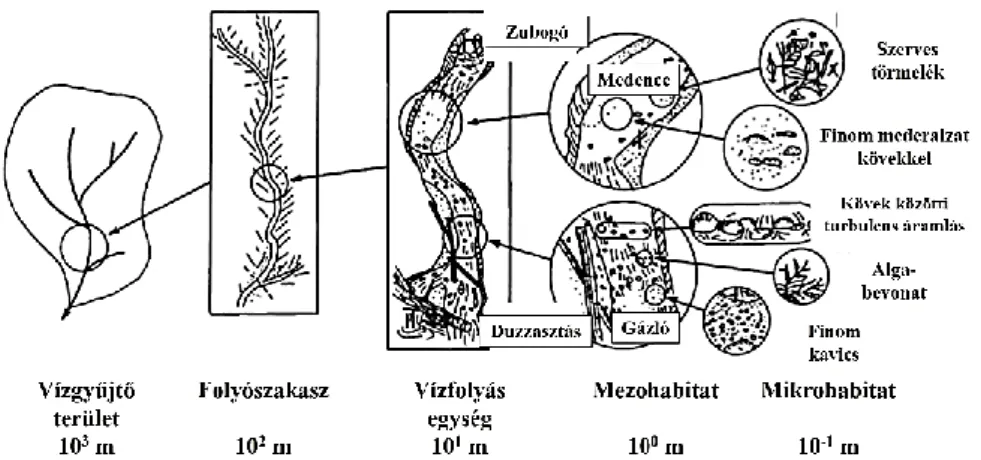 2. ábra Vízfolyások felépítésének hierarchikus rendszere (Allan és Castillo, 2007 nyomán)