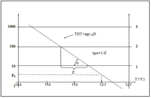 7. ábra A hőpusztulási görbe z és F értéke (URL 1 ) 