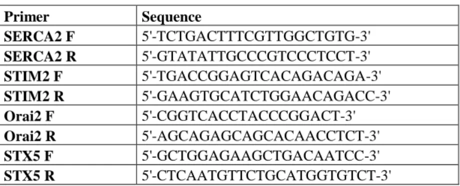 Table 1: Sequence of primers used in the experiments  Primer  Sequence  SERCA2 F  5'-TCTGACTTTCGTTGGCTGTG-3'  SERCA2 R  5'-GTATATTGCCCGTCCCTCCT-3'  STIM2 F  5'-TGACCGGAGTCACAGACAGA-3'  STIM2 R  5'-GAAGTGCATCTGGAACAGACC-3'  Orai2 F  5'-CGGTCACCTACCCGGACT-3'