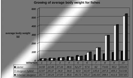 Figure 2: Growing of average body weight for fishes  (Source: several study, 2010-2011) 
