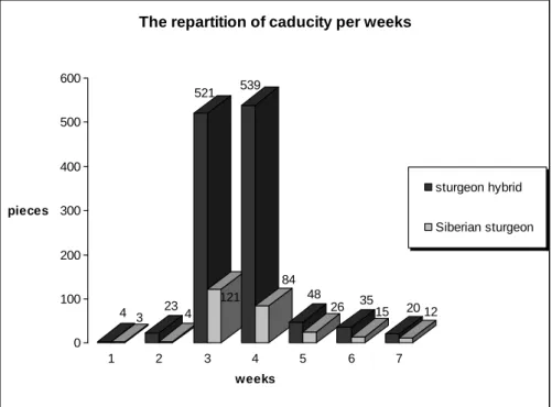 Figure 1: The repartition of sturgeon hybrid and siberian  sturgeon’s caducity per weeks 