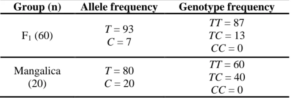 Table 4. LEP allele and genotype frequencies (%) in crossbred (F 1 ) and  purebred animals
