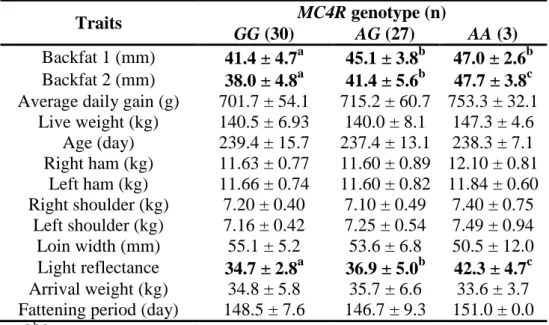 Table 3. G1426A MC4R genotype effects on different traits (mean ±  standard deviation) in the crossbred (F 1 ) group