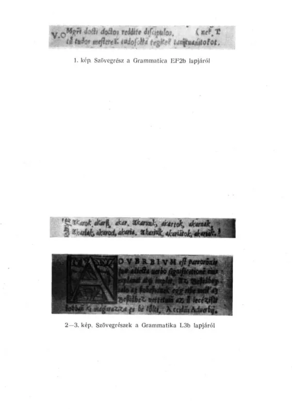 1. kép. Szövegrész a Grammatica EF2b lapjáról 