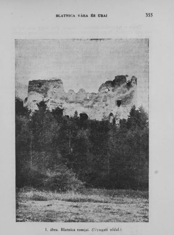 1. ábra. Blatnica romjai. (Nyugati oldal.) 
