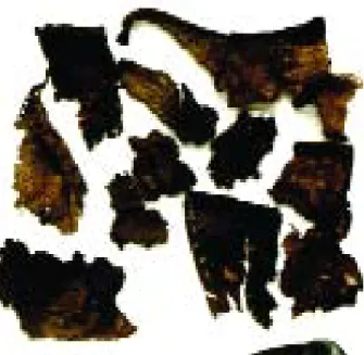 1. kép Erõsen korrodált vas csizmapatkó megkeményedett bõr maradvánnyal