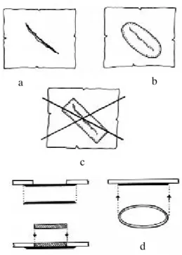 7. ábra Bõr vékonyítása egyenes vagy félhold alakú késsel A lemezes szétválásokat is ajánlatos visszaragasztani, mert a feldolgozás, kutatás, a tárgy mozgatása során könnyen leszakadhatnak