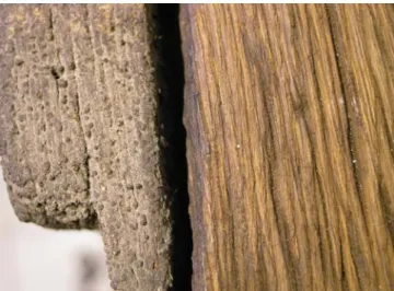19. kép. Cinteremkapu részlete, baloldalon az éveken át lenolajjal  kezelt öregedett felület tisztítás előtt, jobboldalon a letisztított  fa-anyag.