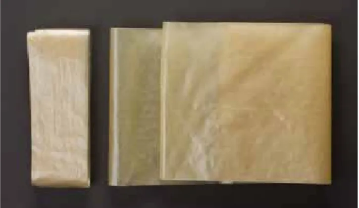 9. kép.  Marhavakbél hártya (jobb oldalon) és a vele beborított per- per-gamentöredék, melyen tökéletesen olvasható a rá nyomtatott  szö-veg (bal oldalon) (fotó: Nyíri Gábor).