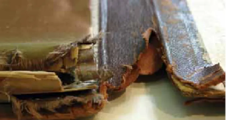 3. kép.  A mappa gerincének egy részlete lábnál, restaurálás előtt.