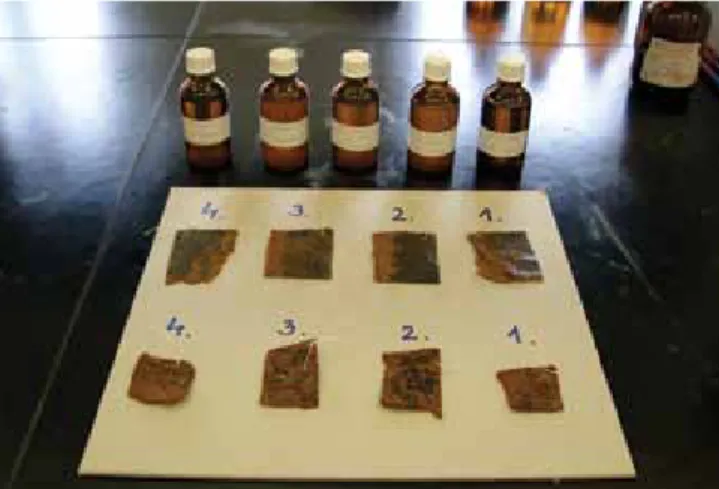 A kísérletekhez végül négy bőrmintát jelöltünk ki (6. kép):