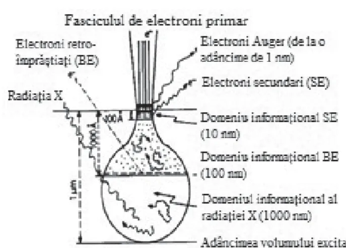 Fig. 1.  Domeniile informaționale ale semnalelor emise în interi- interi-orul volumului excitat (http://epa.oszk.hu/00400/00402/00008/pdf/