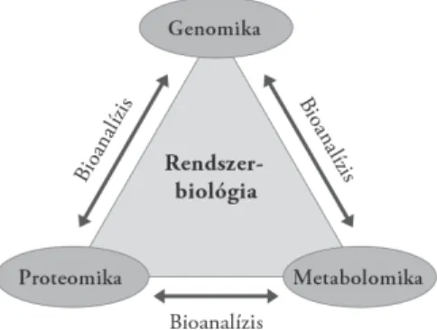 1. ábra. A bioanalitika szerepe a rendszerbiológiában