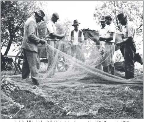 2. kép A hálót a ladikba rakják. Poroszló, 1960
