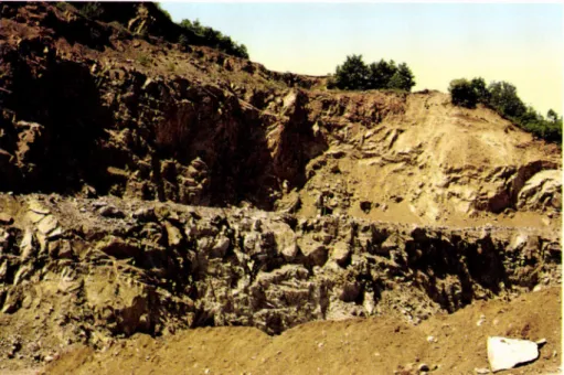 2. kép. Az erdősmecskei gránitbánya kétszintes bányafala