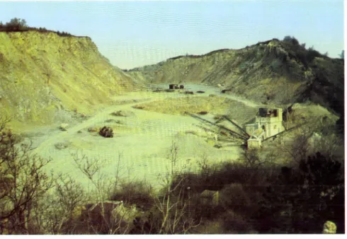3. kép. A tettyei mészkőbánya D-i és É-i kitettségéi fala és udvara (1969)