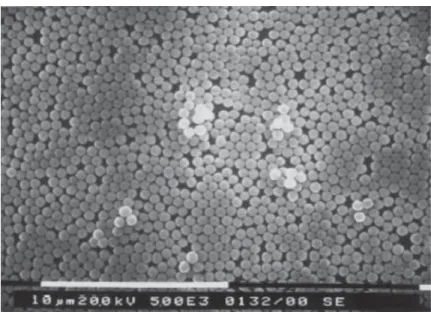 14. ábra. Metoxilált szilika-monodiszperznanorészecskék hexagonális illeszkedése monorétegben