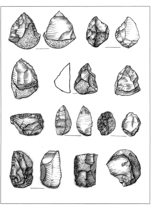 Fig, 2. Pseudo-hand axes, side scrapers on slices and flakes (1:1,4) 