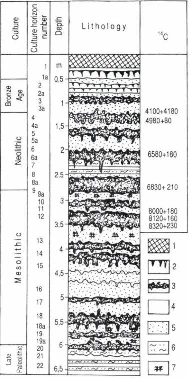 Fig. 4.  Profile of polycyclic Holocene terrace in the area of multi-layered site Kazachka (on Kan River)