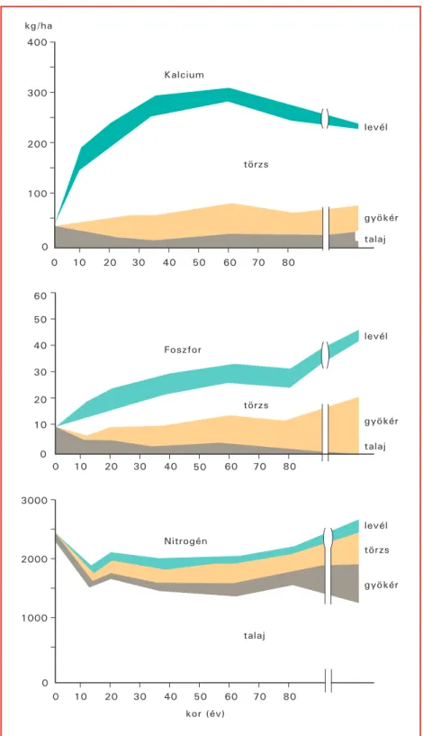 6. ábra. A kalcium, foszfor és nitrogén mennyiségének eloszlása trópusi esôerdôk különbözô korú állományainak talajában, gyökér-, törzs- és koronaszintjében