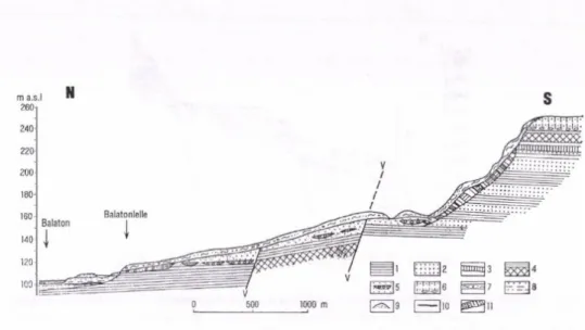 Fig.  8.   North-south  section  across  the  southern rim o f the  lake basin  at  Balatonlelle