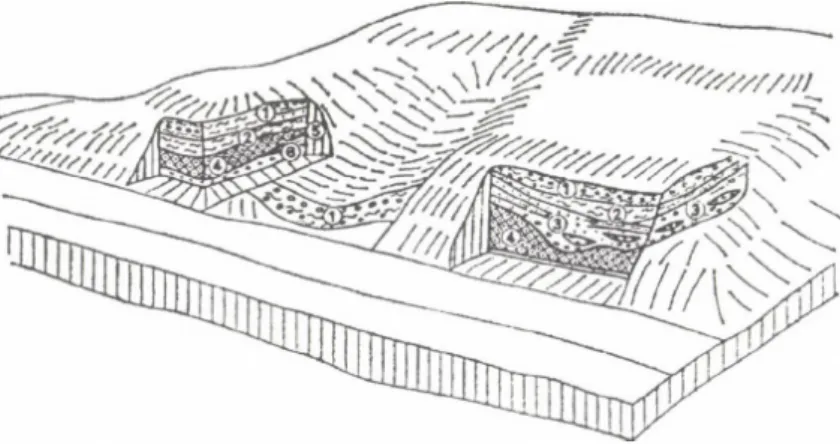 Figure  10   Sketch  bloc-diagram  o f the  abraded  steep  side  o f  the  lake  basin  at  Zamárdi