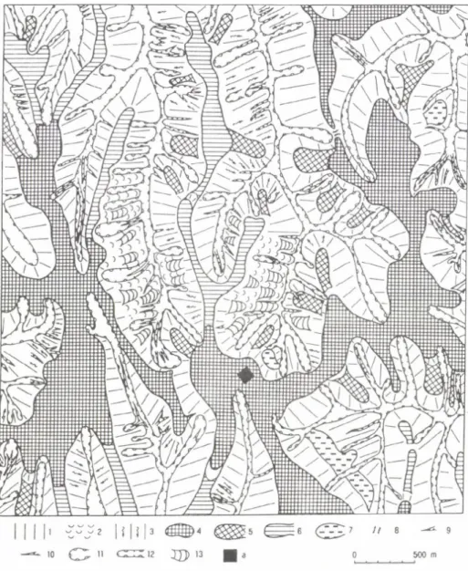 Fig.  1.   Geomorphological  map  of  the  environs  o f  the  waste  disposal  site  planned  to  Ófalu  (ed