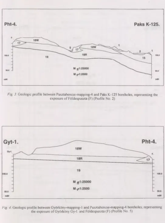Fig.  3.  G eologic  profile  betw een  Pusztahencse-m apping-4  and  Paks  K-125  boreholes,  representing the  exposure o f  FOldespuszta (F) (Profile No