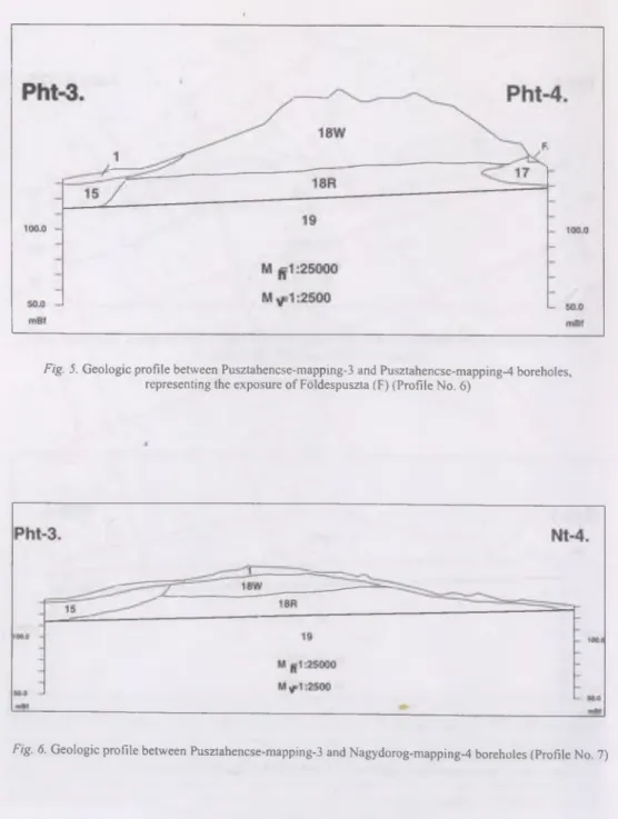 Fig.  5.  G eologic profile betw een Pusztahencse-m apping-3  and Pusztahencse-m apping-4 boreholes,  representing the exposure o f  Foldespuszta (F) (Profile N o