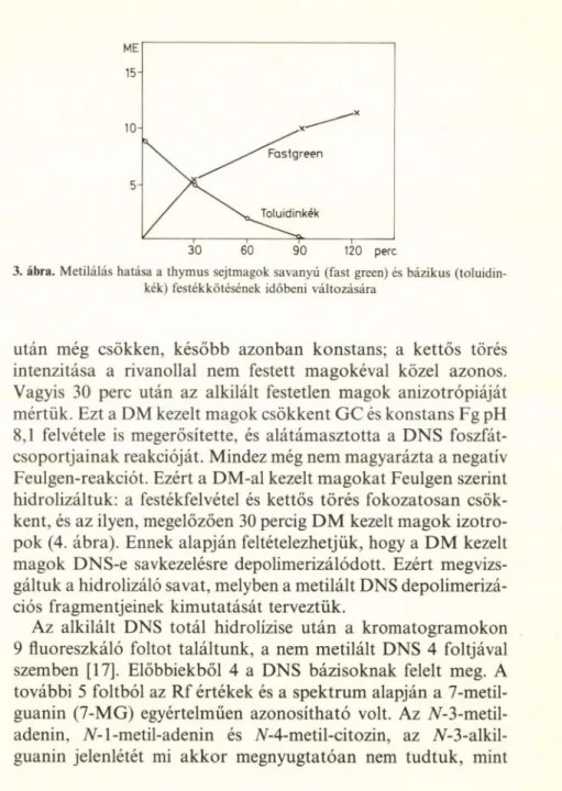 3. ábra.  Metilálás hatása a thymus  sejtmagok savanyú  (fast green) és  bázikus  (toluidin-  kék)  festékkötésének  időbeni  változására