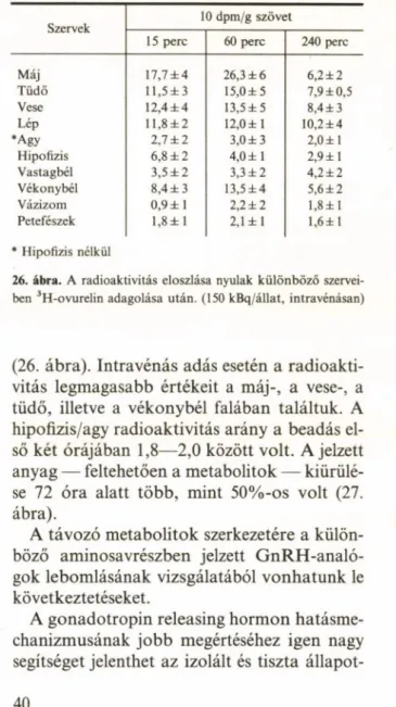 26. ábra.  A  radioaktivitás  eloszlása  nyulak  különböző  szervei­