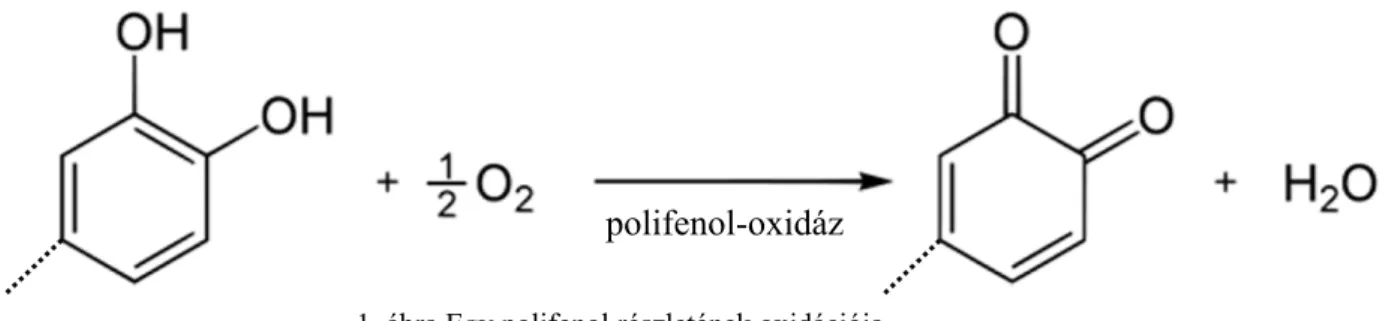 1. ábra Egy polifenol részletének oxidációja 