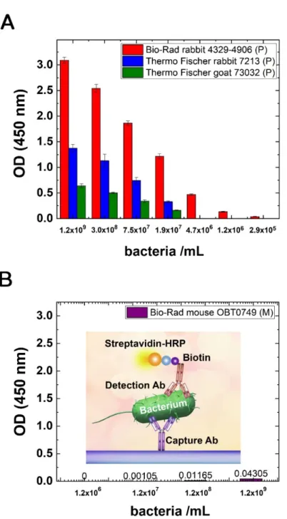 Figure 3. (A) Testing the binding abilities of different polyclonal Abs with an in-house ELISA test  with different amounts of intact E