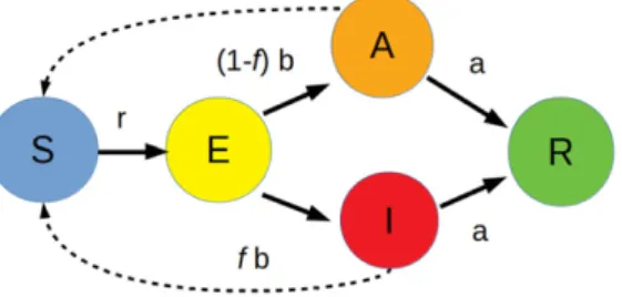 Figure 1. Flow diagram for the modified SEIR model. The arrows between different states represent the stochastic reactions with the appropriate reaction rates