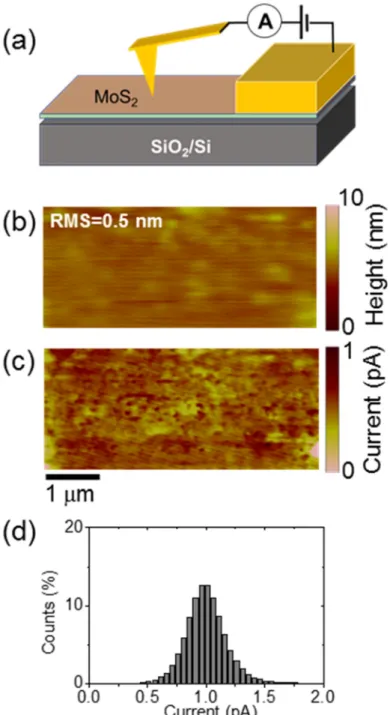 Figure 7. (a) Schematic of the C-AFM setup for local conductivity mapping of few-layers MoS 2  on  SiO 2 