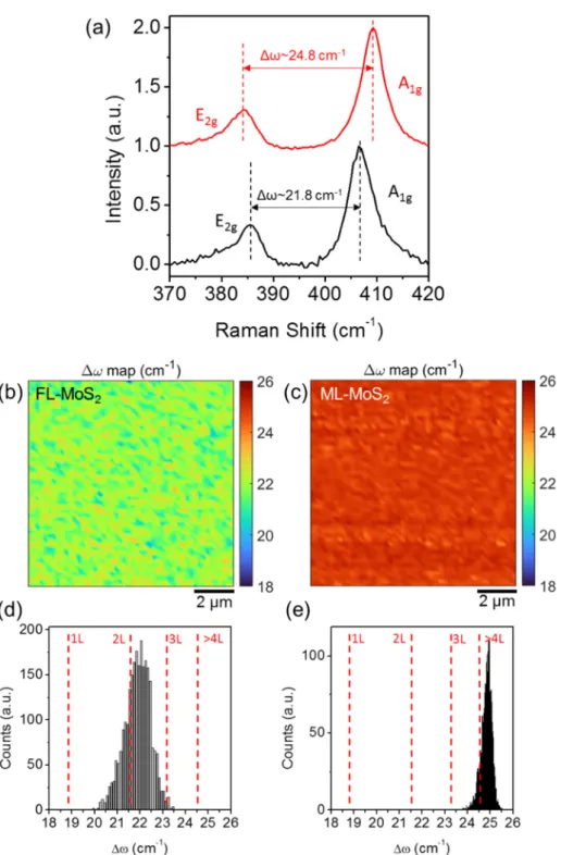 Figure 5. (a) Representative Raman spectra of the few-layers (FL) MoS 2  (black-line) and multilayer  (ML) MoS 2  samples obtained by sulfurization of the 2.8 and 4.2 nm MoO 3  films on SiO 2 