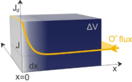 Fig. 2. Schematic diagram of the kinetic model. The yellow curve shows the anion flux (