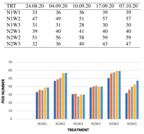 Table 3: Pod number count by time and by experimental treatments TRT 24.08.20 04.09.20 10.09.20 17.09.20 07.10.20 N1W1 33 36 36 39 39 N1W2 47 49 51 57 57 N1W3 31 31 28 30 30 N2W1 39 40 41 40 40 N2W2 51 56 58 59 59 N2W3 32 36 40 43 47