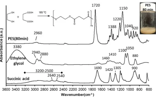 Figure 1. FTIR spectra of succinic acid and ethylene glycol monomers as well as the synthesized  polyester sample (after 80 min polycondensation time)